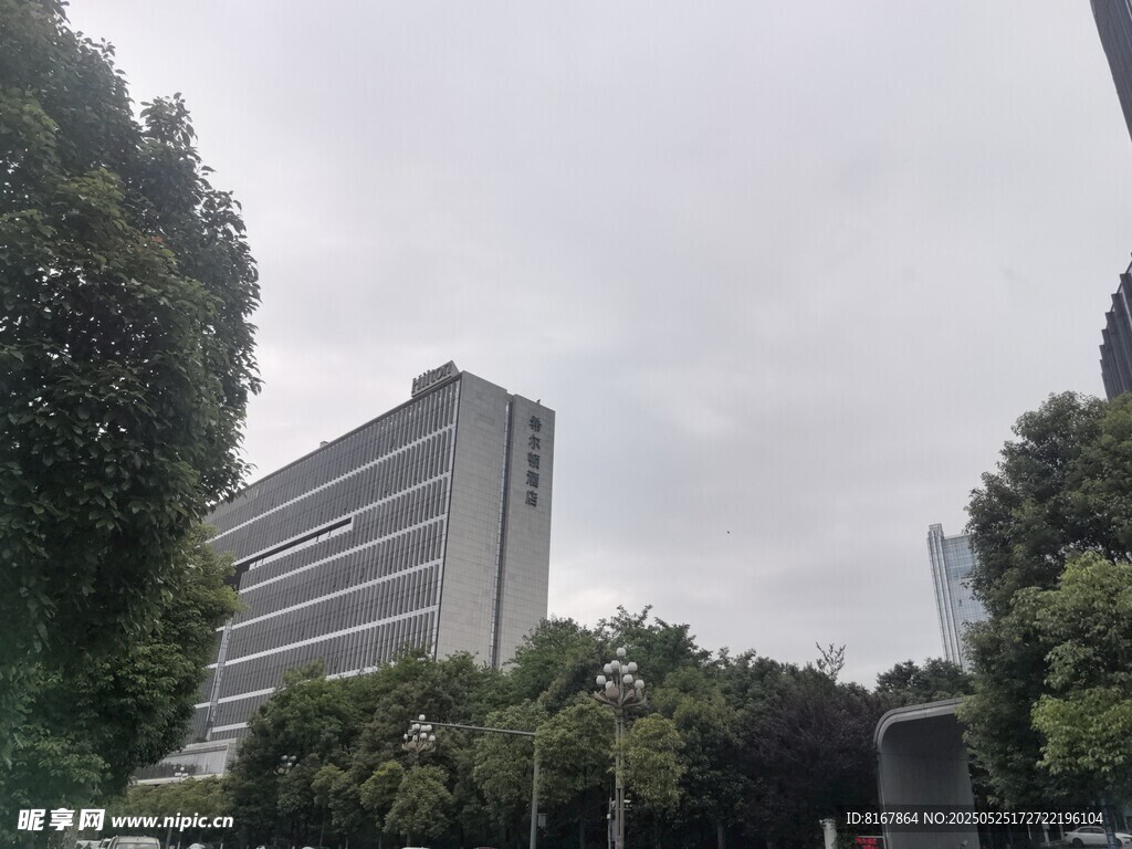 城市中树木环绕的高楼