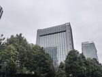 城市中的现代高楼与绿树