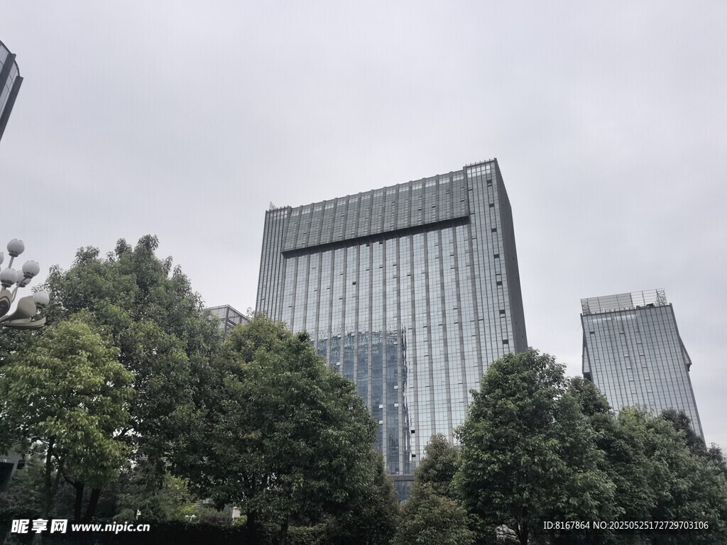 城市中的现代高楼与绿树