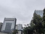 城市高楼与绿树景观
