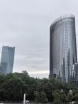 城市高楼与绿树景观