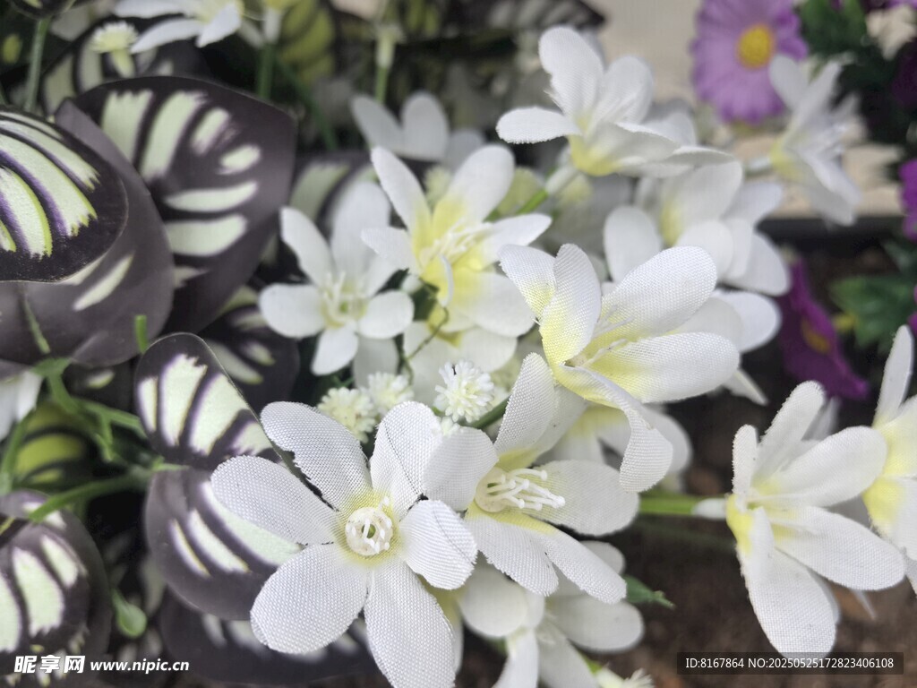素雅小白花绽放铁艺旁