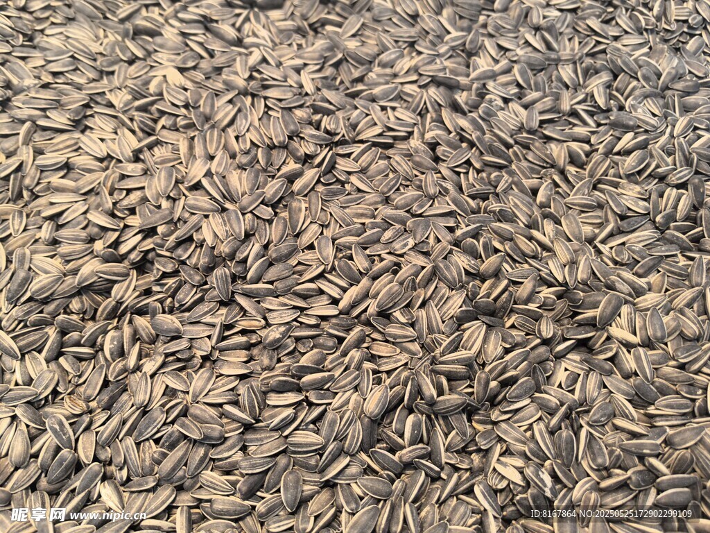 孜然粒特写