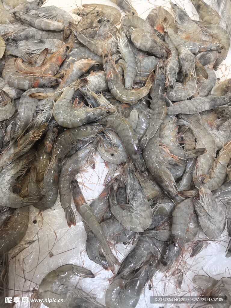冷冻鲜虾