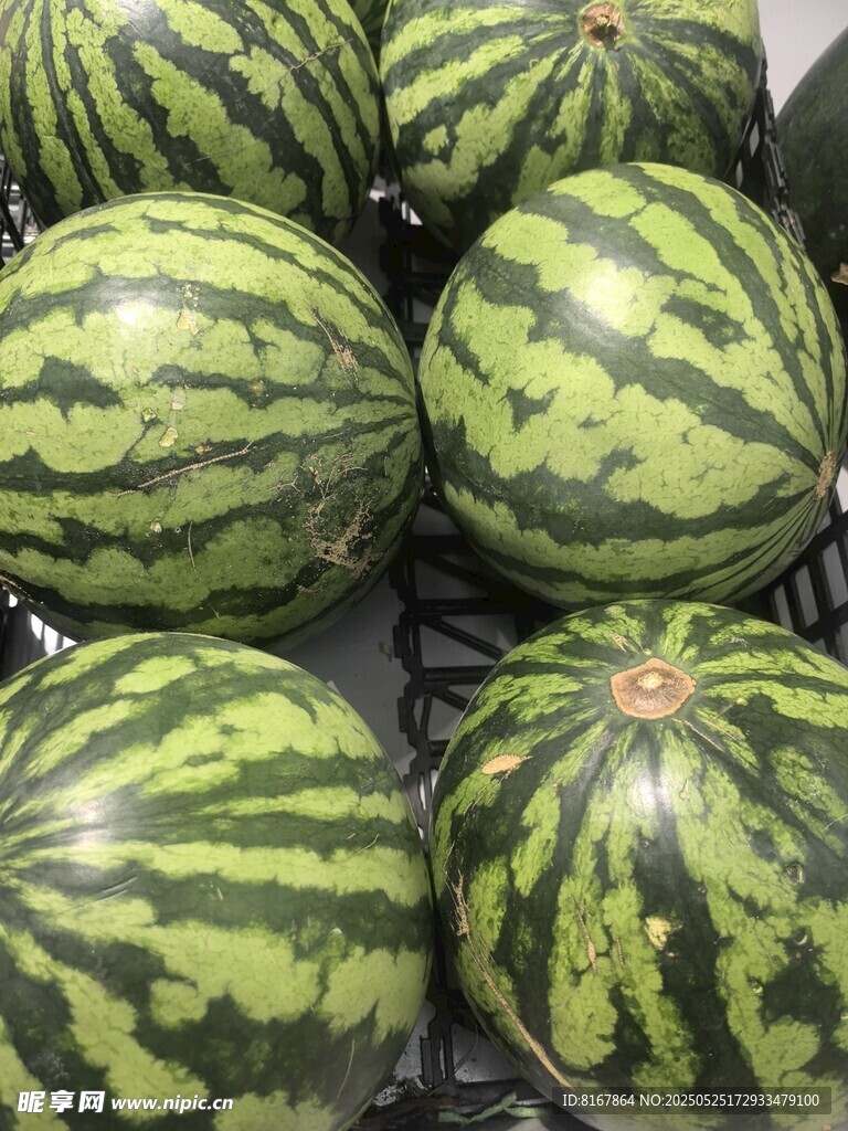新鲜饱满的条纹西瓜
