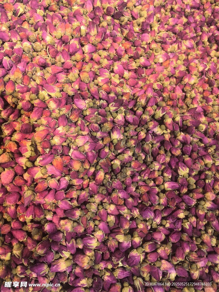 缤纷玫瑰花瓣特写