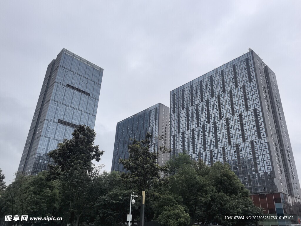 现代都市高楼与绿树景观
