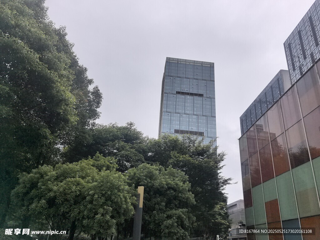 城市中林立的高楼与绿树
