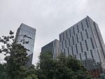 城市高楼与绿树景观