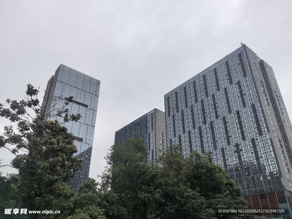 城市高楼与绿树景观