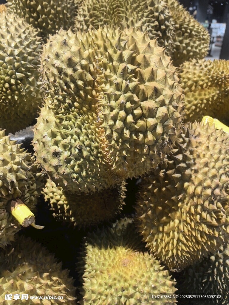 一堆新鲜榴莲果实