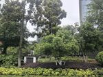 城市中的绿植景观一角