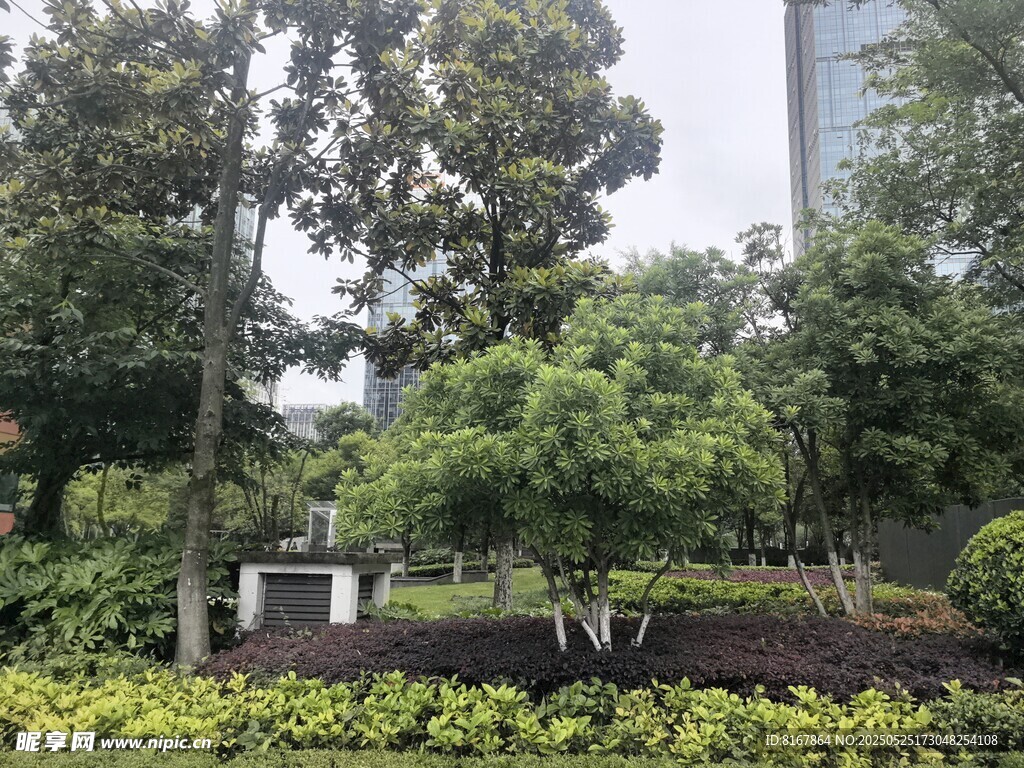 城市中的绿植景观一角