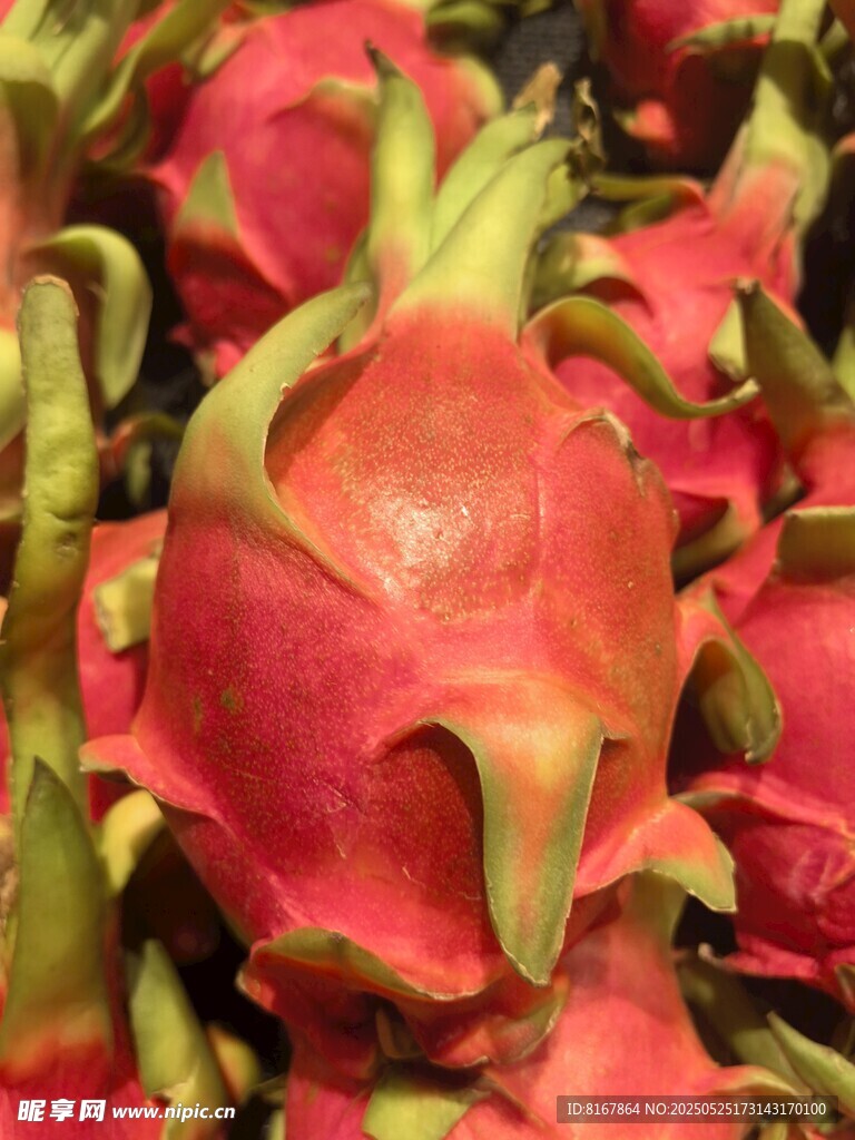 新鲜火龙果