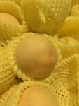 桃