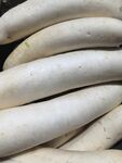 新鲜白萝卜堆叠