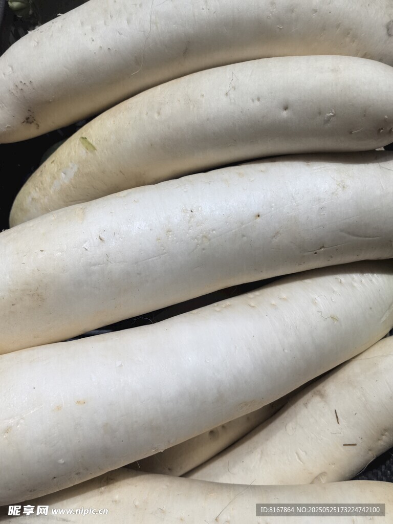 新鲜白萝卜堆叠