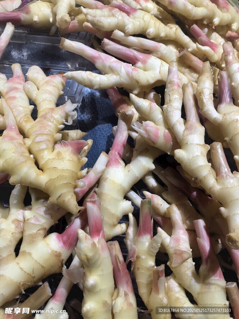 新鲜嫩姜特写