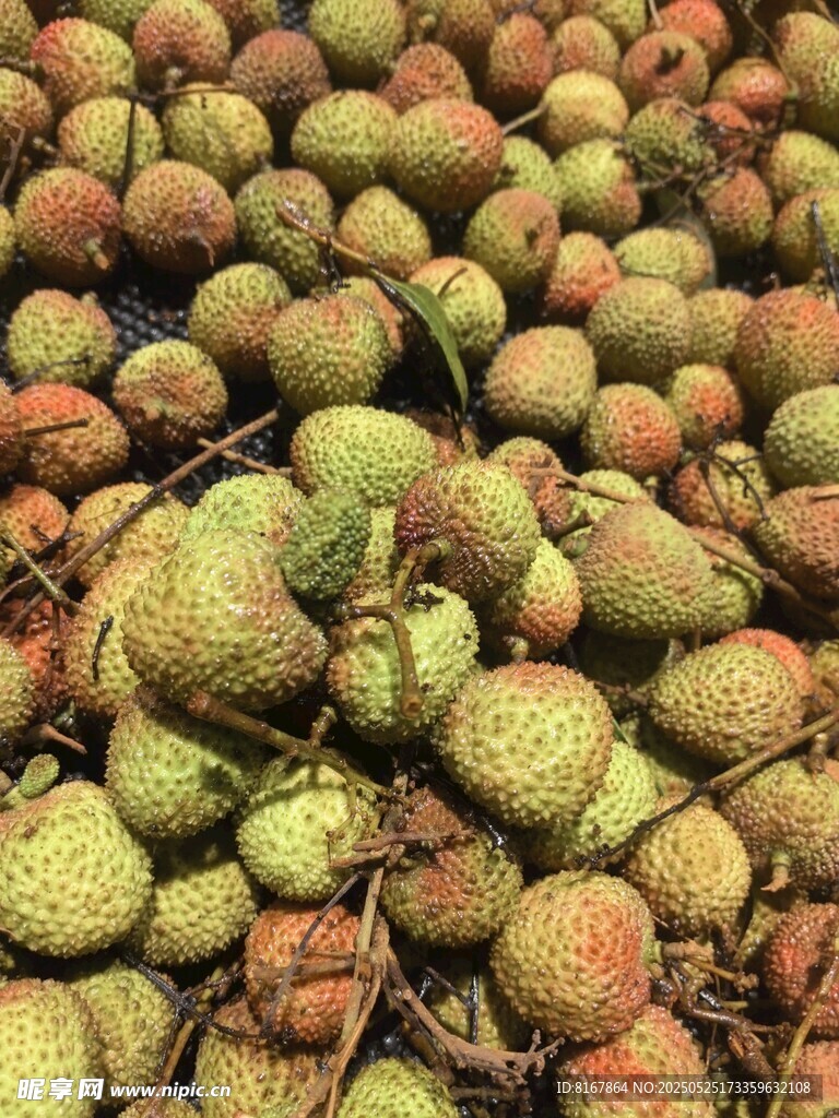 一堆色泽丰富的新鲜梨子
