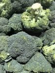 新鲜西兰花