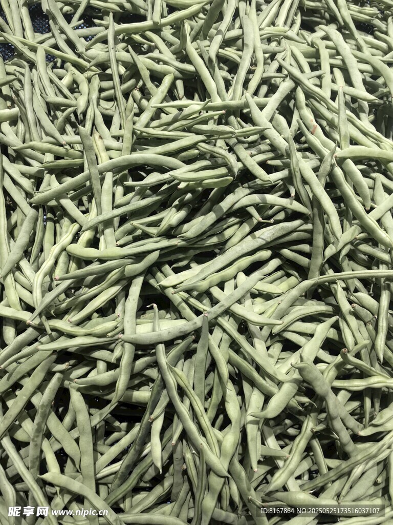 嫩绿豆角特写