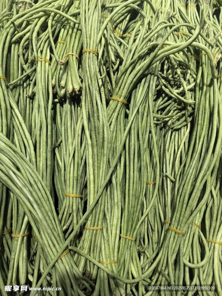 翠绿葱郁的新鲜韭菜