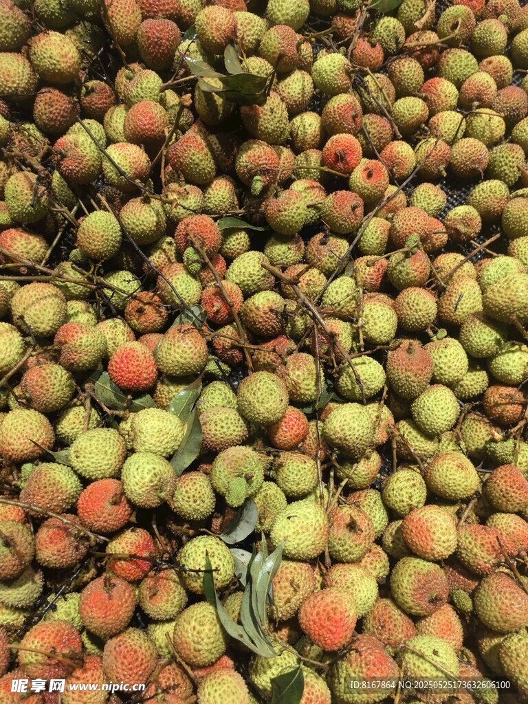 堆积如山的多彩新鲜果实