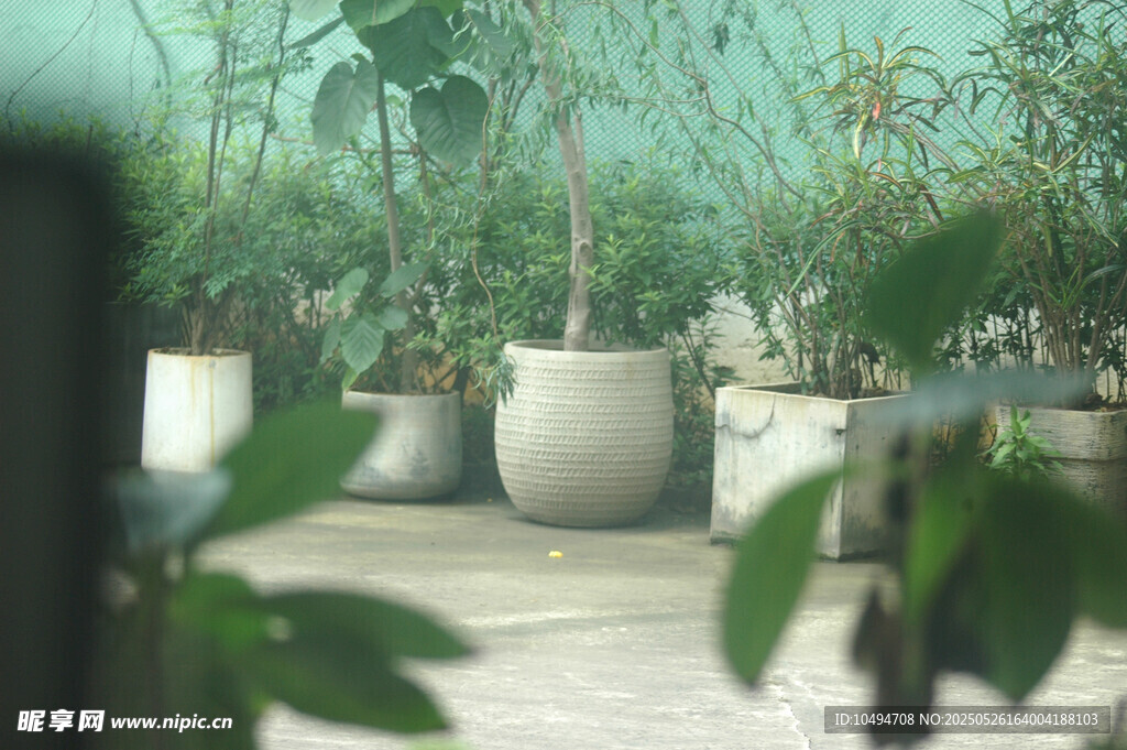 室内绿植盆栽景观