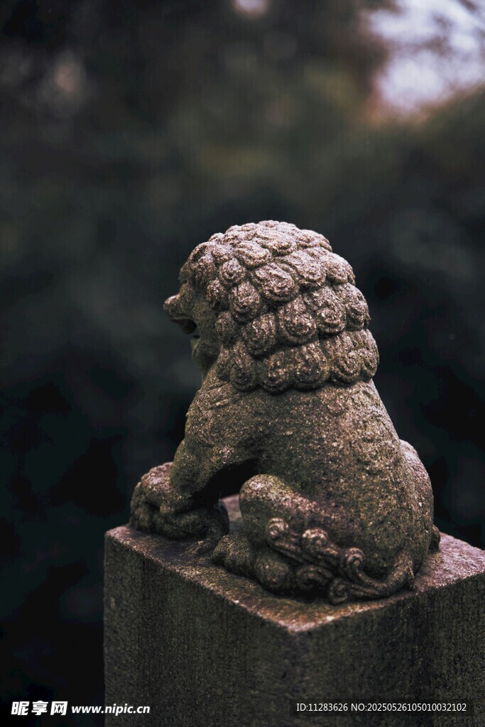 石狮子雕塑特写
