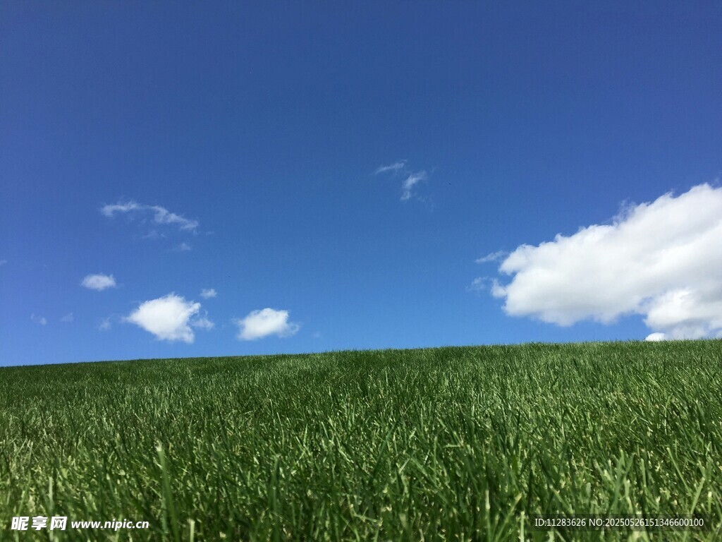 广袤绿野上的晴朗蓝天