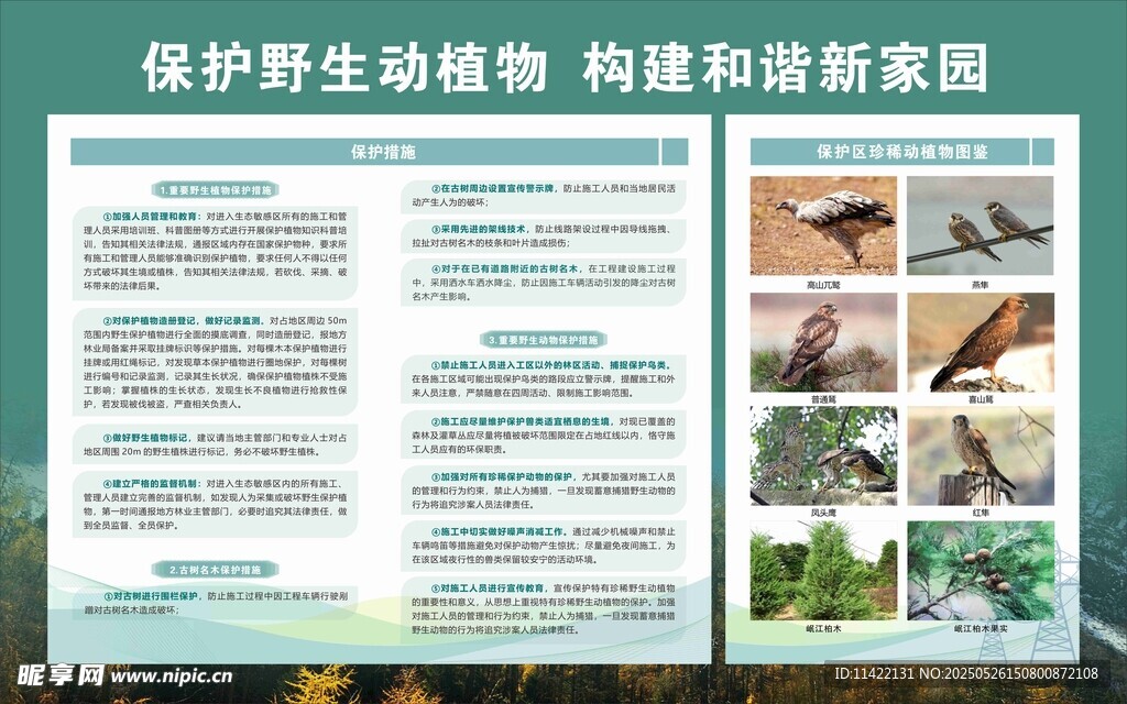 保护野生动物宣传展板