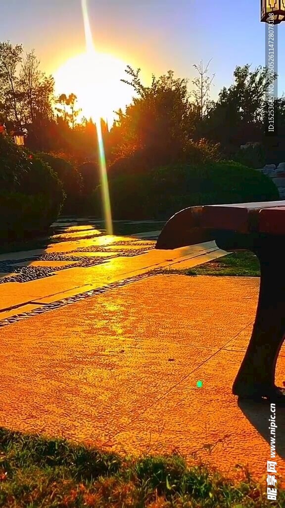 夕阳下的户外长椅美景