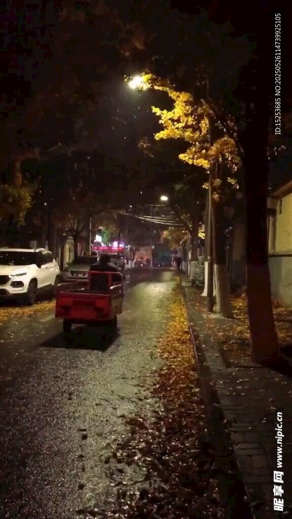 雨夜街道的静谧景象