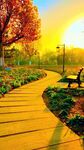 夕阳下的公园小径与长椅