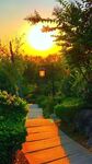 夕阳下的花园小径美景