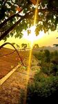 夕阳下的田园风光美景