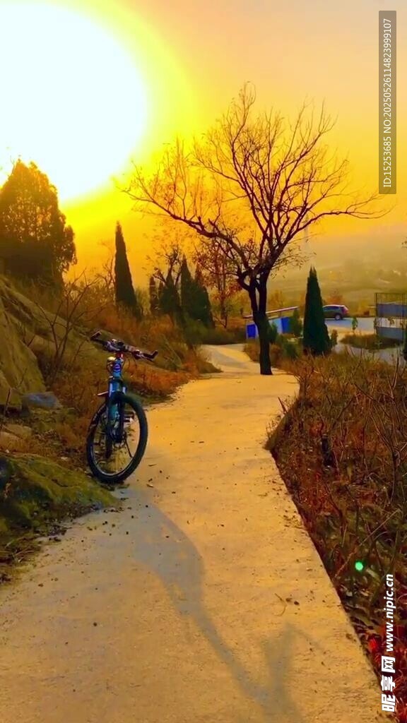 夕阳下的骑行小径美景