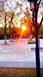 夕阳下的公园静谧小道