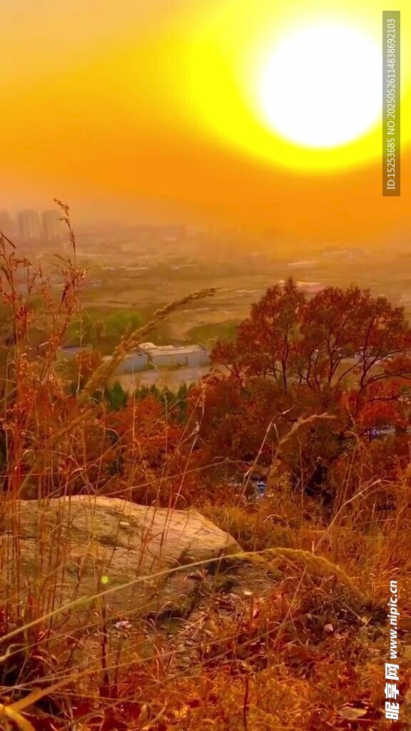 夕阳下的秋日旷野美景