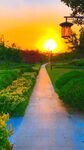 夕阳下的花园小径美景