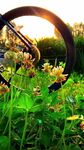 夕阳下的自行车与花草