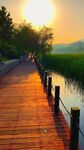 夕阳下的湖畔木质栈道