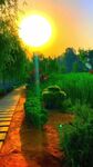 夕阳下的乡间小路美景