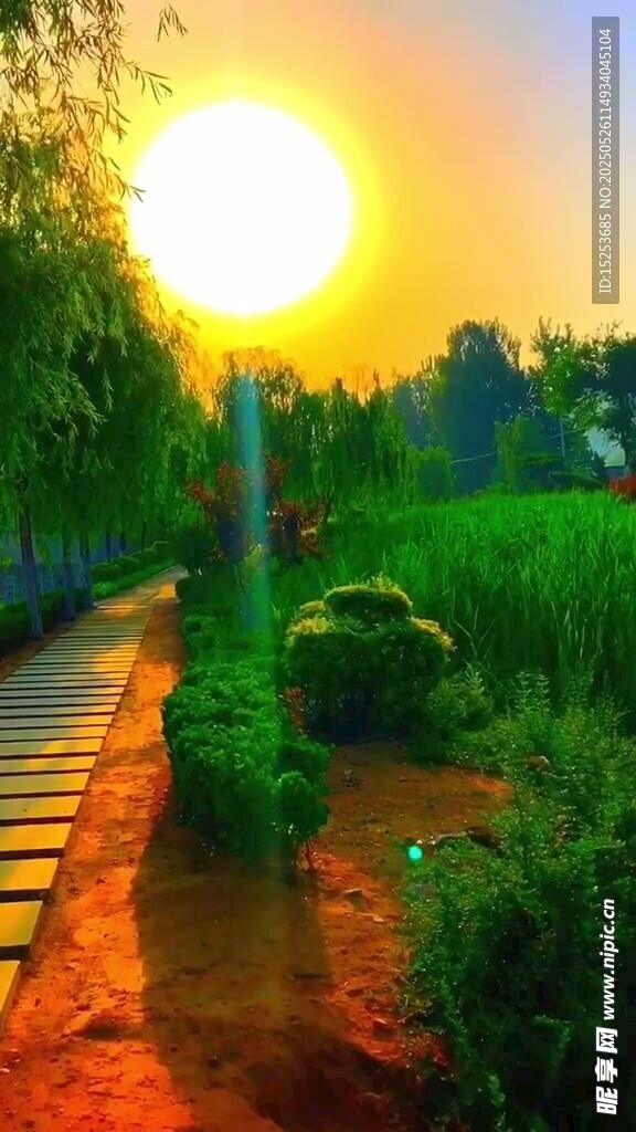 夕阳下的乡间小路美景