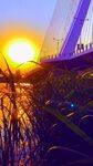 夕阳下的桥梁与岸边植物