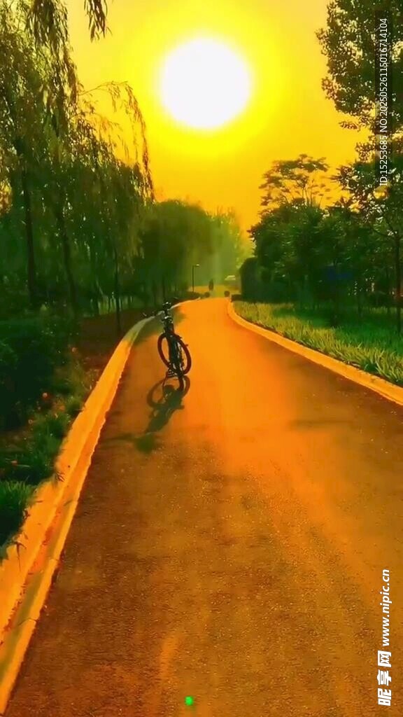 夕阳下的骑行者