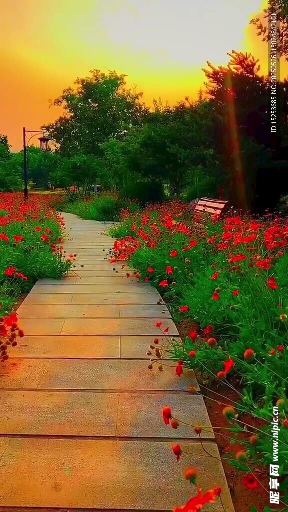 夕阳下的花卉木栈道美景