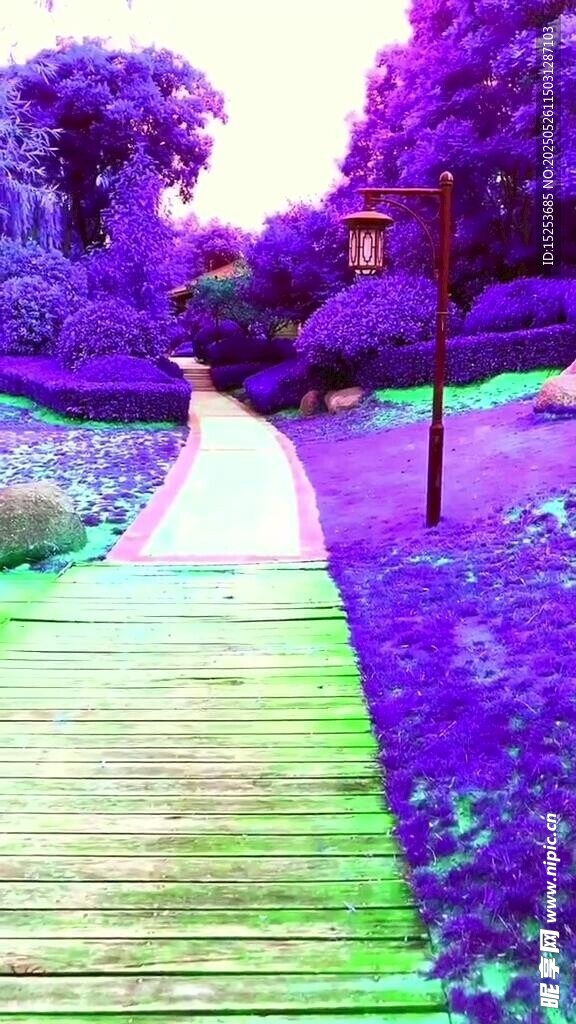 梦幻紫色花园小径