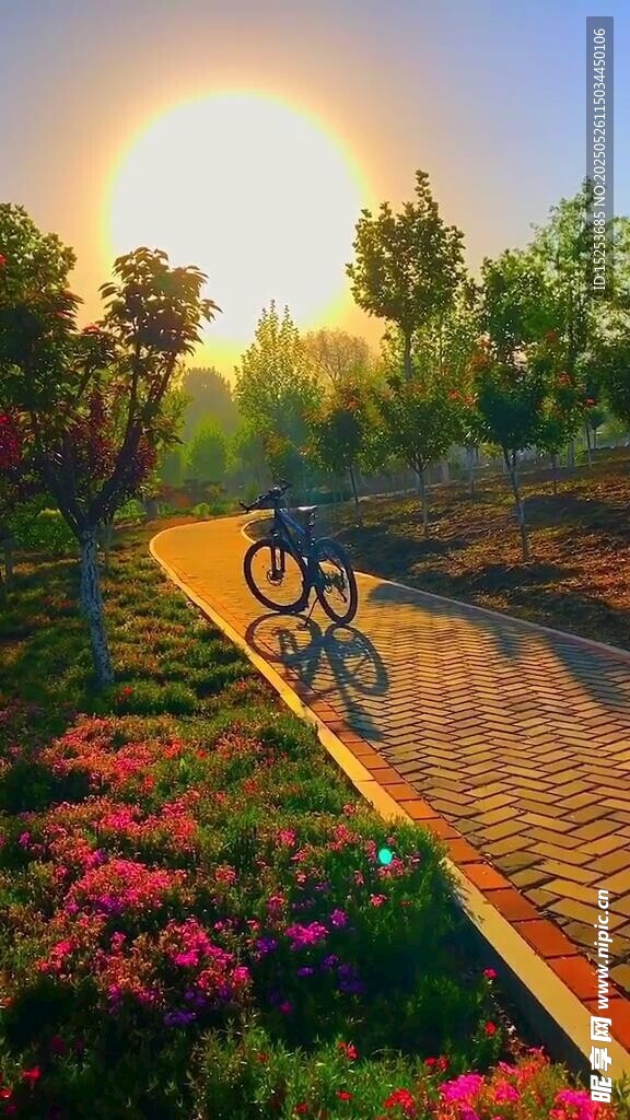 夕阳下的自行车骑行美景