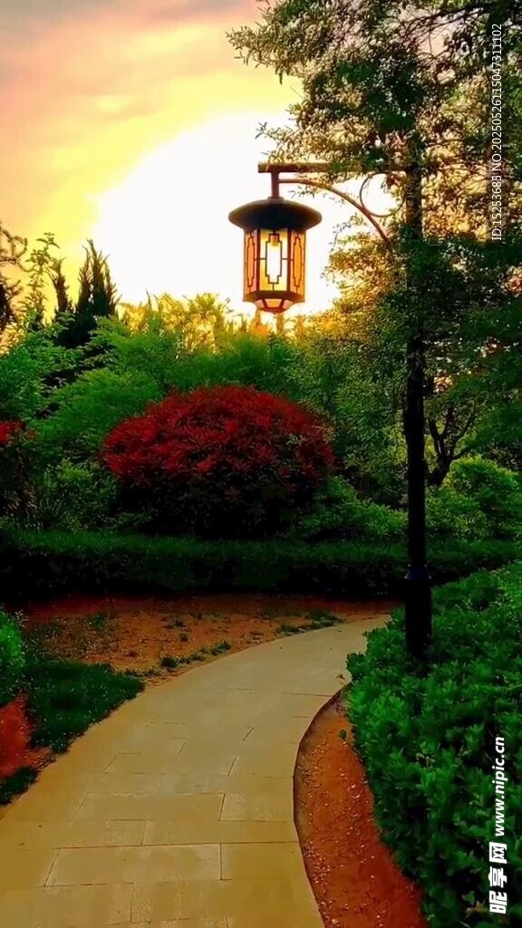 黄昏下的花园小径美景